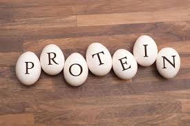 Tại sao cần phải bổ sung protein cho cơ thể?