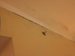 What are the black spots on my bathroom ceiling? Bedroom Ceiling More Mold And Water Damage Left Untreated This Ran The Whole Length Of The Roo Picture Of Zijinge Hotel Zhangjiajie Tripadvisor