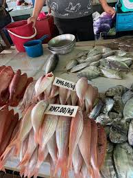 Seluruh warga kerja lembaga kemajuan ikan malaysia menzahirkan salam takziah buat keluarga adalah dimaklumkan ibu pejabat lembaga kemajuan ikan malaysia (lkim) akan 40,000 nelayan bakal dicarumkan bawah sksps. Sabah Info Murahnya Harga Ikan Di Safma Dan Pasar Besar Facebook