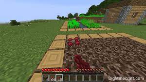 When it reaches its final stage, you can. How To Make A Nether Wart Farm In Minecraft