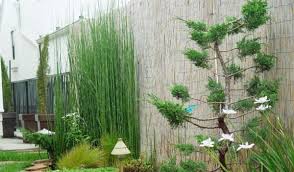 Completa recopilación de tendencias en decoración de interiores para 2021 en materiales, colores y sin embargo, otros materiales como el bambú, ratán, sisal, algodón, lana, papel, vidrio, arcilla y varios las plantas están adquiriendo un protagonismo importante. Decoracion De Jardines Con Bambu
