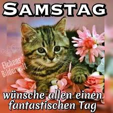 Spruch Samstag Lustig Samstag Bilder Samstag Guten Morgen Samstag