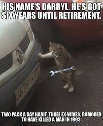 My Mechanic Is An Interesting Guy Album On Imgur Funny Cat Memes Funniest Cat Memes Best Cat Memes