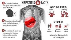 Minumkan setiap pagi dan sore pada pasien hepatitis maupun liver. Perbedaan Penyakit Hepatitis A Dan Hepatitis B Ada 3 Cara Mudah Kurangi Penularannya Halaman 3 Tribun Jabar
