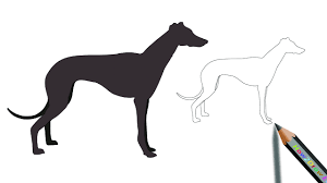 2.0 out of 5 stars not worth it. Great Dane Drawing Coloring Page Easy Drawings Drawings Great Dane Dogs
