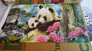 Enjoy the best paintings, arts and murals themed puzzles and daily jigsaw puzzles. Precious Pandas Jigsaw Puzzle Jigsaw Puzzles Art Painting