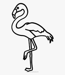 Dibujos De Flamencos Para Colorear