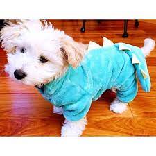 The marin county sheriff's office on sunday released a statement from the family of carol kiparsky and ian irwin, the palo alto couple rescued. Pound Puppy Rescue 36 Photos 46 Reviews Pet Services Palo Alto Ca