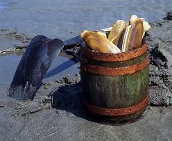 Razor Clams Long Beach Peninsula Wa Us Oregon Coastline Oregon Beaches Oregon Coast