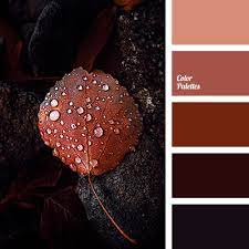 36 beautiful color palettes for your next design project. Color Palette 4267 Color Palette Ideas