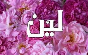 معنى اسم لين 