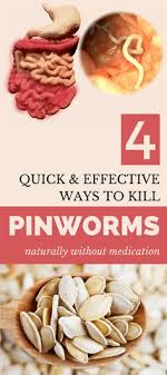 46 Medicine Remedies Ideas In 2021 Pin Worms Pinworm Treatment Remedies