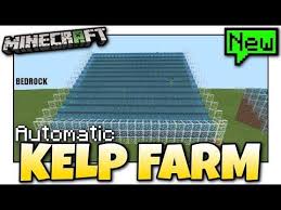 For java edition (pc/mac), right click on … Minecraft Bedrock Fast Kelp Farm Automatic Tutorial Ps4 Mcpe Xbox Windows Switch Youtube In 2021 Minecraft Minecraft Designs Minecraft Redstone
