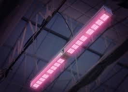 Check spelling or type a new query. Vypr Series Fluence By Osram