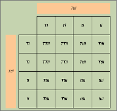 The square is set up below. Laws Of Inheritance Biology I
