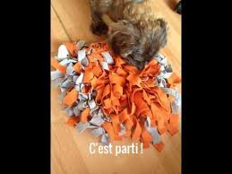 Fabrication D Un Snuffle Mat Tapis De Flairage Ou Tapis De Fouille Tapis Chien Jeu Chien Mobilier Pour Chien