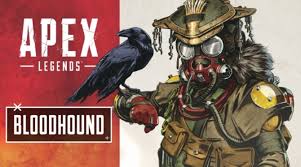 Check spelling or type a new query. Bloodhound Apex Gender Alfintech Computer