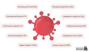 The Significance Of Sexually Transmitted Diseases Stds In Fertility Forum Instituto Bernabeu
