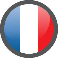 Résultat de recherche d'images pour "France logo"