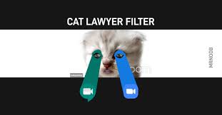Texas lawyer rod ponton had both his colleagues and the internet in stitches after accidentally morphing into a cat during a virtual court hearing tuesday. How To Use The Cat Lawyer Filter On Zoom And Google Meet