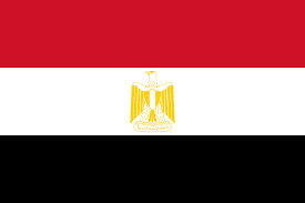 List Of Egypt Newspapers News Sites And Magazines Featuring Current Breaking News Sports Entertainments Jobs History Educa Egypt Flag Egyptian Flag Egypt