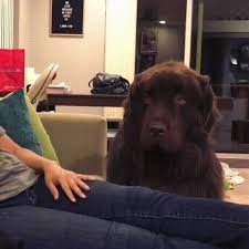 Image result for tbn:ANd9GcQzWo5lBIPWKebvy1oRkgh5c-dE8XiN3VXZR7m1YtZmdakAs_N-Mhco6w:http://www.cqham.ru/flower.gif