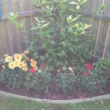 Corner Garden Wood Chips Finish The Look And Help With Weeds I M Sure Corner Garden Diy Backyard Landscaping Flower Bed Plants
