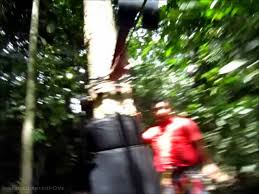 We had fun during the outing to sky trex and most importantly you guys had made this outing a memorable one. Skytrex Adventure Extreme Challenge Shah Alam Youtube