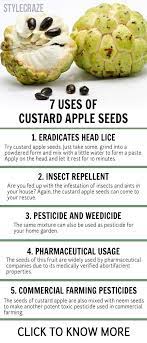 Ingredients Herbalism Apple Seeds Apple Health Benefits