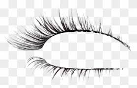 To make sure we remove gray shades around the edges of the signature, we set the percentage of similar colors to 12%. Free Png Eyelashes Clip Art Download Pinclipart