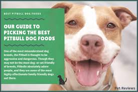 10 Best Dog Foods For Pitbulls Our 2019 Bully Feeding Guide