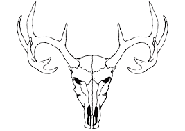 Deer Skull Vector Free Skull Art Animal Skulls Drawing Deer Skull Tattoos
