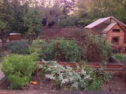 Before you begin gardening, set a plan that you can maintain during do not plant tomatoes, corn, beans, or squash as winter plants. 5 Things You Must Do Now To Get Your Garden Ready For Winter Sheknows
