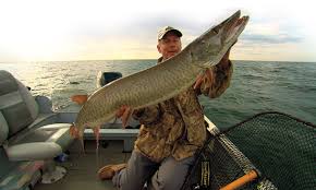 We did not find results for: Dissecting Edges For Pike And Muskie