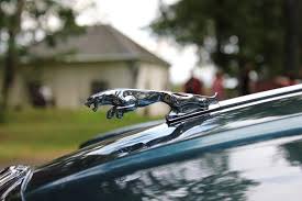 These mascots also make excellent trophy toppers and mailbox markers. The Coolest Hood Ornaments Ever Made Carbuzz