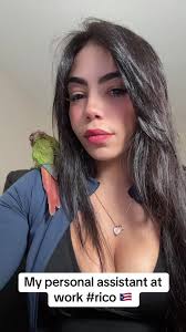 Meet My Work Buddy Rico: The Car Quote Specialist