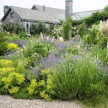 Drought Tolerant Landscaping Ideas Drought Tolerant Landscape Drought Tolerant Garden Drought Tolerant