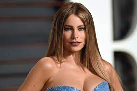 Soon she gets married to her childhood love and gave birth to a baby boy. Sofia Vergara S Ex Fiance Loses Appeal In Ongoing Custody Battle Over Frozen Embryos Vanity Fair