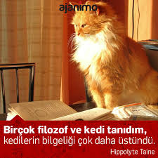 Bircok Filozof Ve Kedi Tanidim Kedilerin Bilgeligi Cok Daha Ustundu Hippolyte Taine Ajanbrian Ajanimo Ajanbrian Unl Hayvan Sozleri Kedi Hayvan Haklari
