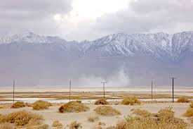 INTERVIEW: Beauty In The Bleak