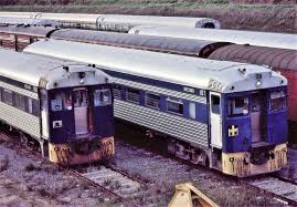 Brace Of Bluebirds Rail Car Blue Bird Transportation