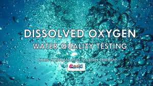 Dissolved oxygen determination methods have been found to vary widely in their sensitivity, susceptibility to electrode poisoning by the presence of. Dissolved Oxygen Water Quality Testing Youtube