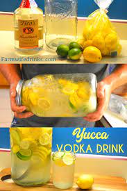 The recipe calls for dissolving sugar in water, like you would when making lemonade, then letting the mixture cool completely before adding equal parts everclear and freshly squeezed lemon juice. Yucca Drink Large Batch Vodka Drink The Farmwife Drinks