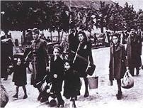 Telling the Story: A Child Holocaust Survivor