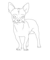 1024x768 chihuahua coloring page free printable pages incredible olegratiy. Chihuahua Coloring Pages Best Coloring Pages For Kids