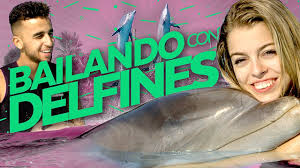 We did not find results for: Nerea De Ot Nada Con Delfines Tuenti Cosas Con Hamza Zaidi 18 Ù„ÙŠØ¨ÙŠØ§ Vlipa Lv