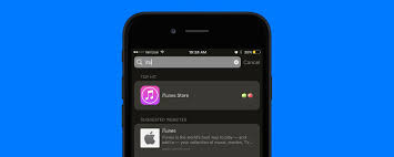 Itunes Store App Disappeared From Iphone How To Get It Back