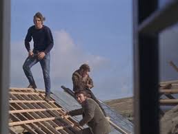 Straw dogs is a brilliant film, there's no denying that. Cats In The Movies Straw Dogs 1971