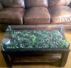 We thought a fun blog project would be to invite all our employees to make their own succulent creations. Custom Furniture Wooden Tree Renovations