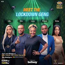 Big brother naija, formerly known as big brother nigeria, is a nigerian reality competition television series, based on the big brother television franchise, in which. Big Brother Naija Bbnaija 2020 Housemates Season 5 Names Pictures Age Profile Bbnaija Daily